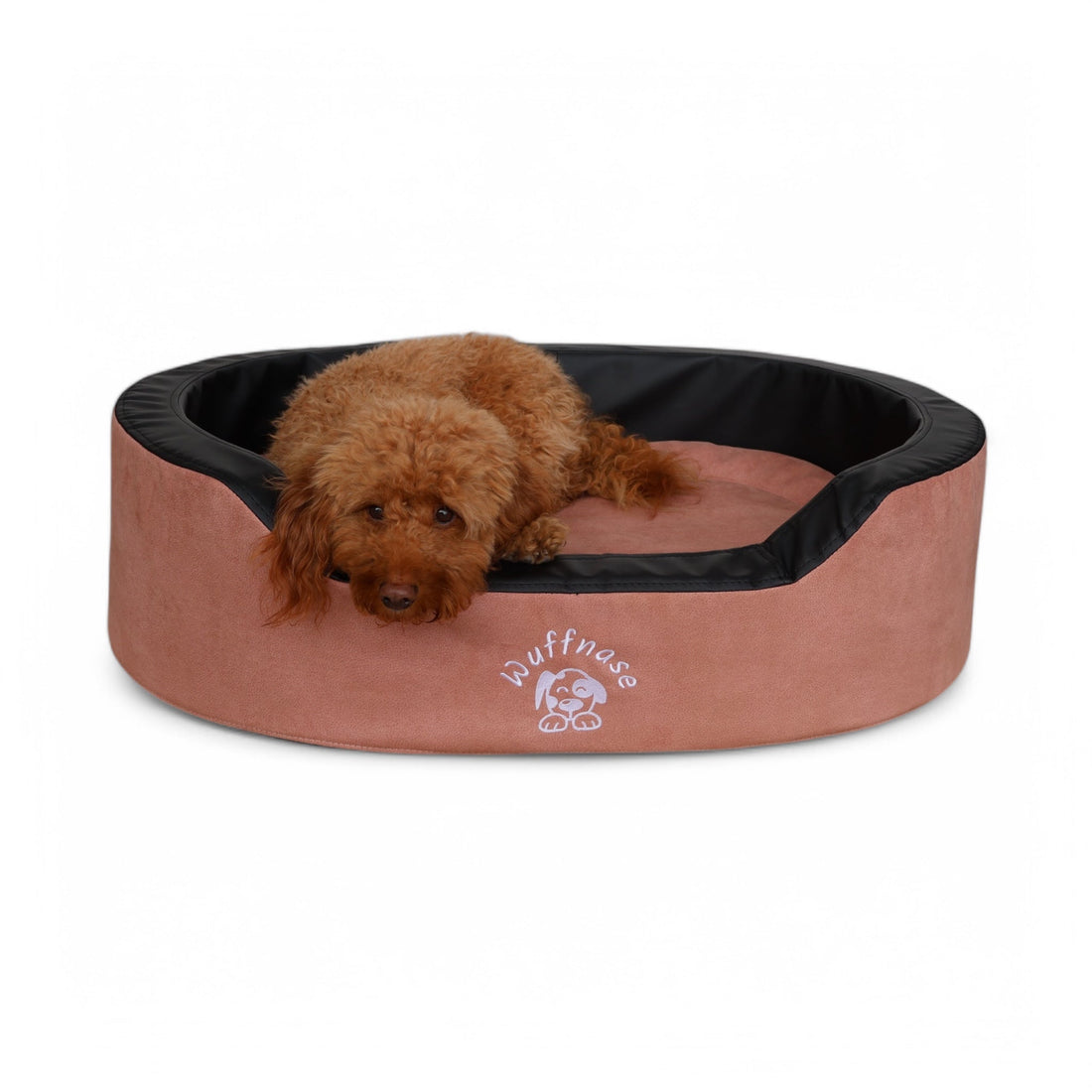 Orthopädische Hundebetten für glückliche Pfoten: Pfotenglück und Relax-Nest im Fokus