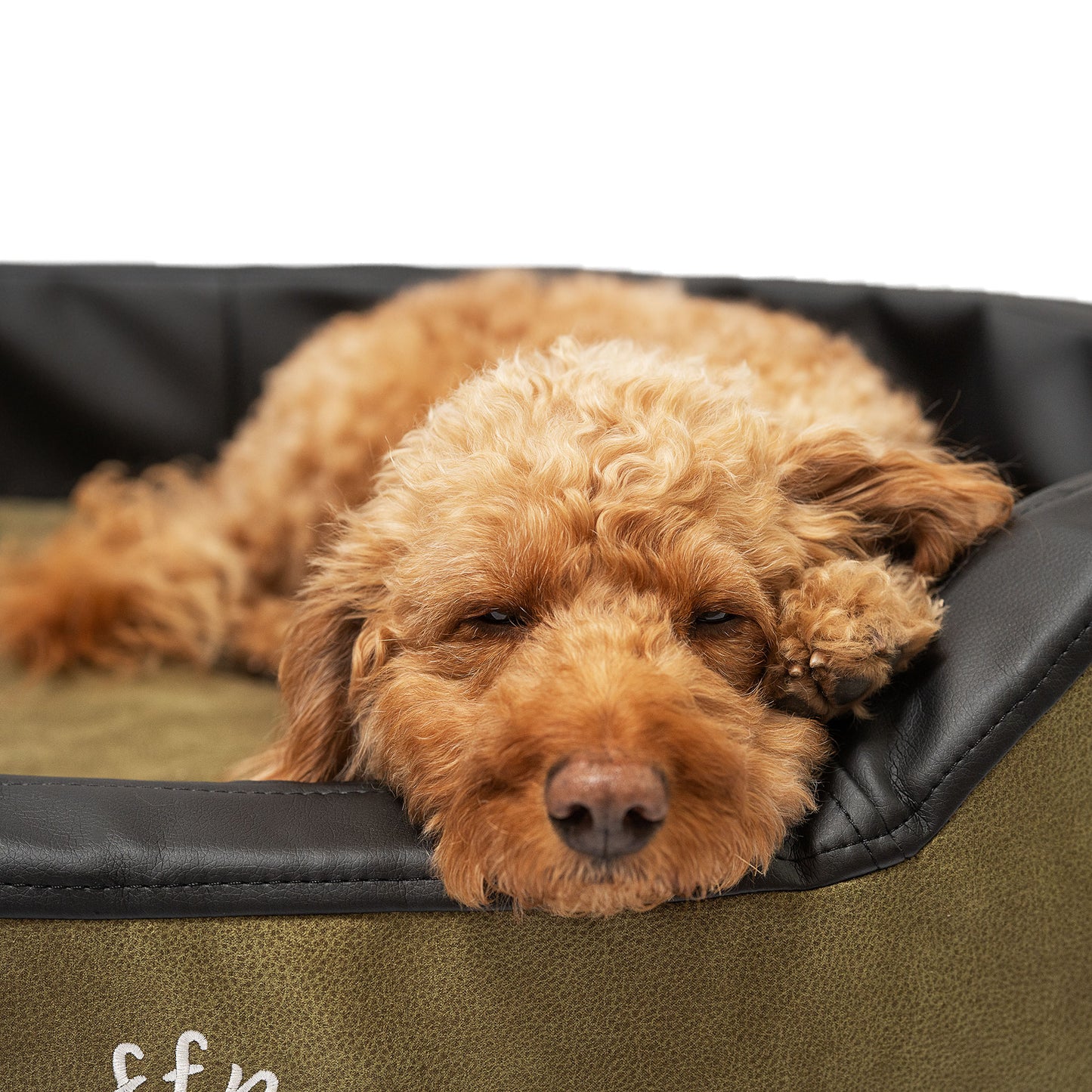 Hundebett Relaxnest Grün