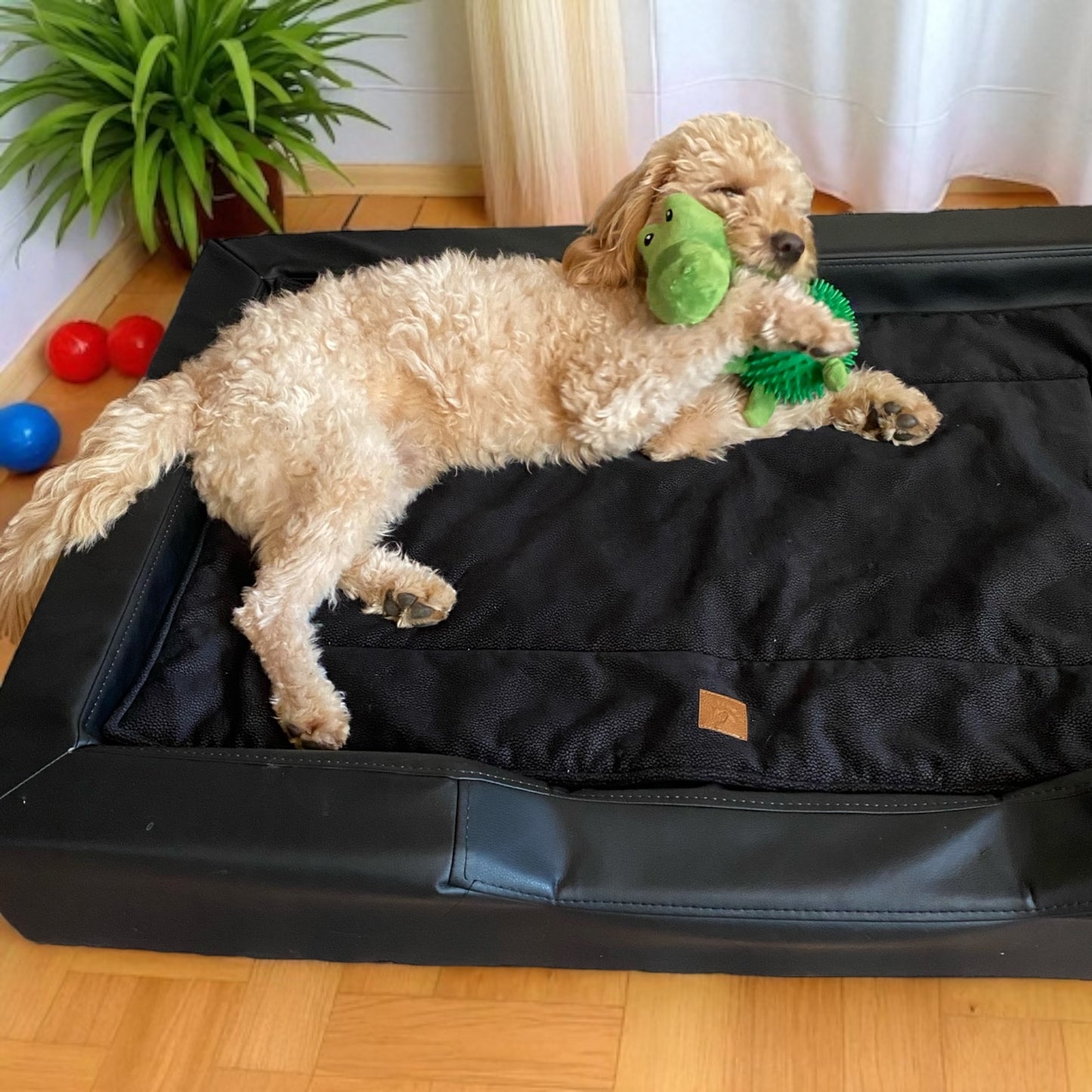 Hundespielzeug Dino - mit Quietscher und Noppen