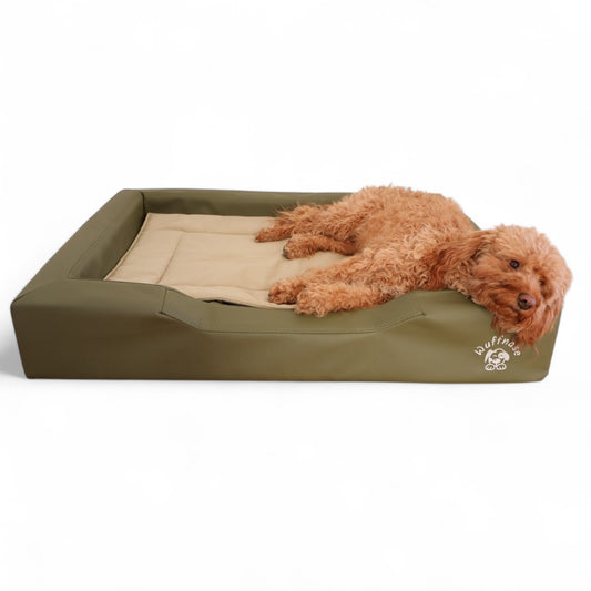 5 Tipps für gesunden Hundeschlaf – So schläft dein Vierbeiner besser