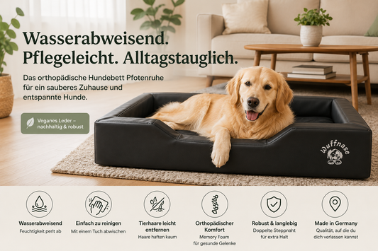 Warum ein wasserabweisendes Hundebett den Alltag mit Hund deutlich erleichtert