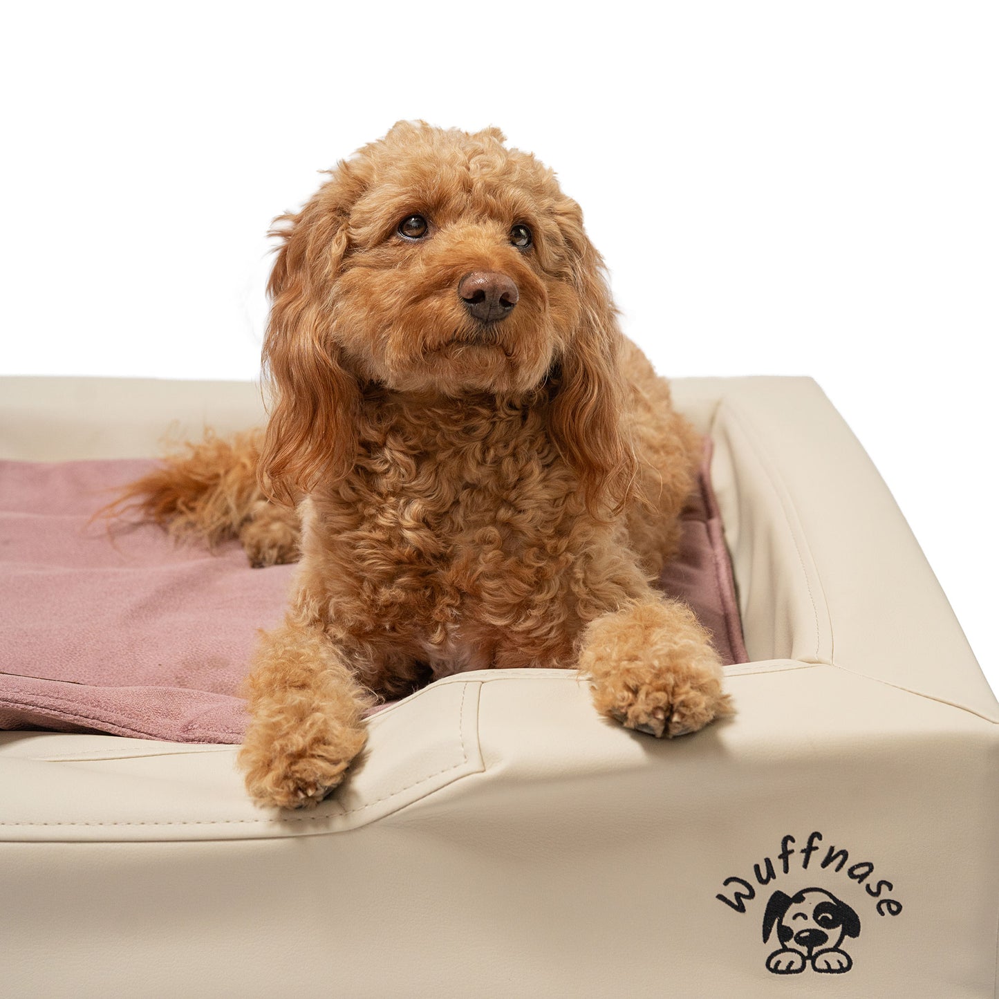 Orthopädisches Hundebett Pfotenruhe im Set mit Anti-Haar Decke Ella – BEIGE/ROSA