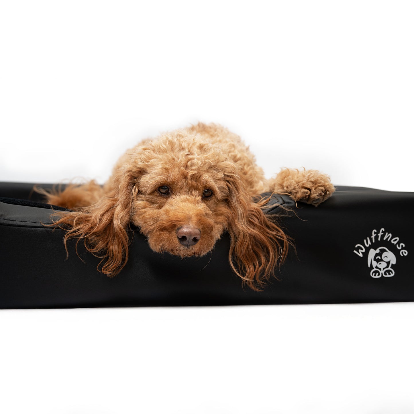 Orthopädisches Hundebett Pfotenruhe im Set mit Anti-Haar Decke Ella – SCHWARZ/GRÜN