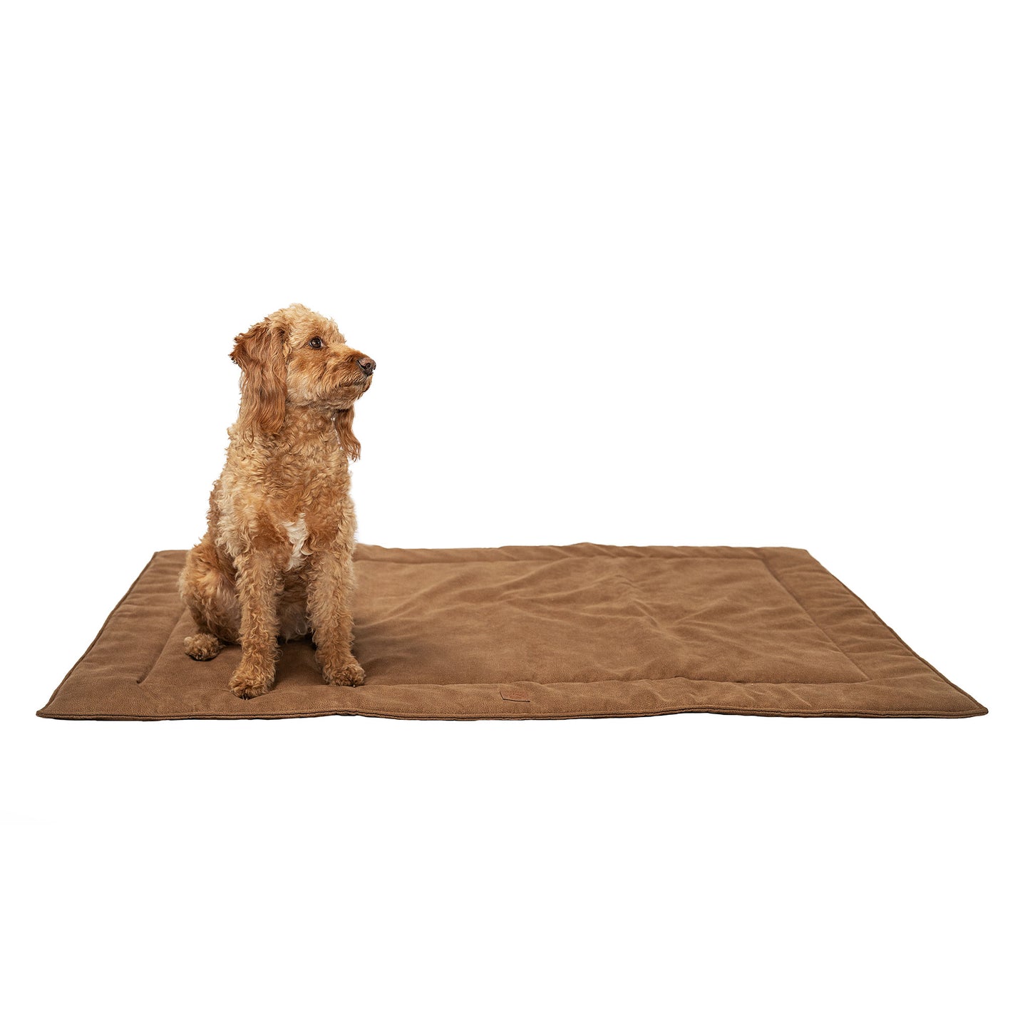 Wasserabweisende Hundedecke "Bobby" - 140 x 100 cm - Braun