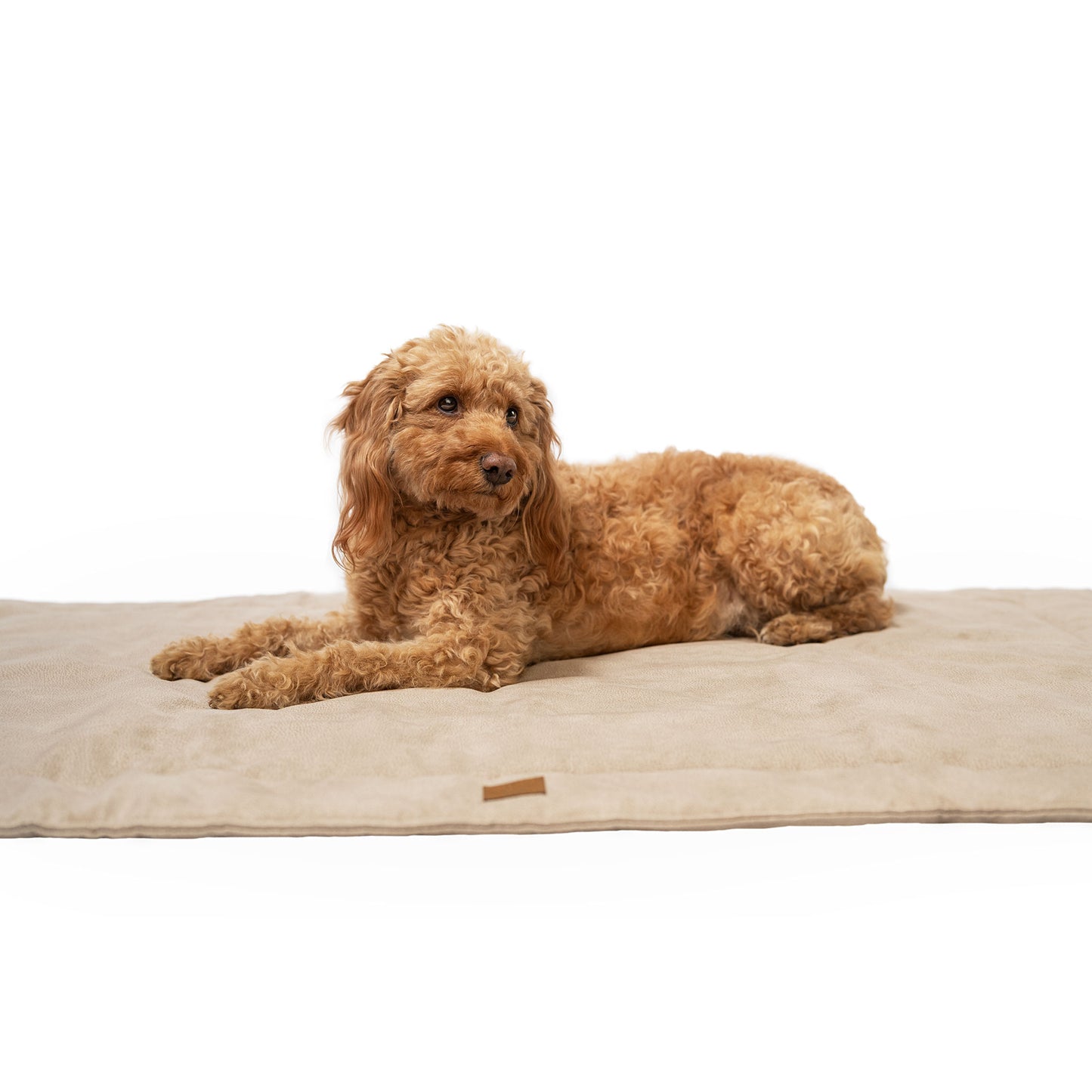 Wasserabweisende Hundedecke "Bobby" - 140 x 100 cm - Beige