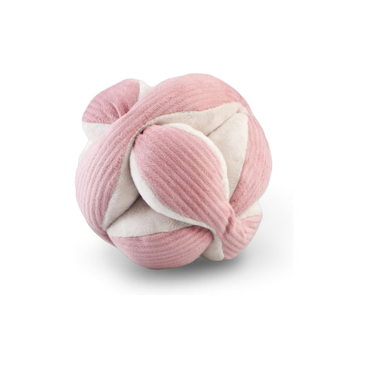 Schnüffelball