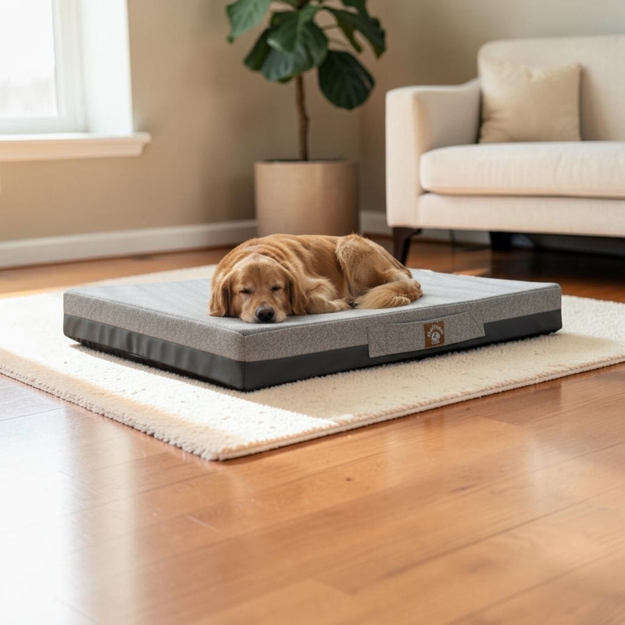 Orthopädische Hundematte Pfotenplatz
